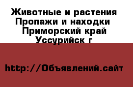 Животные и растения Пропажи и находки. Приморский край,Уссурийск г.